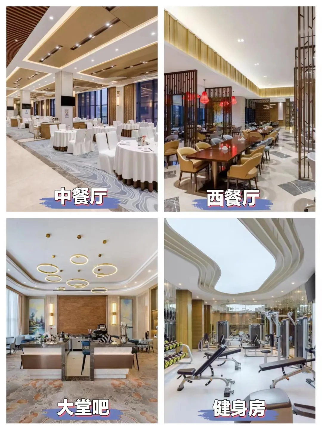 1c745116992704e94bed042c3ee09663-sz_783500