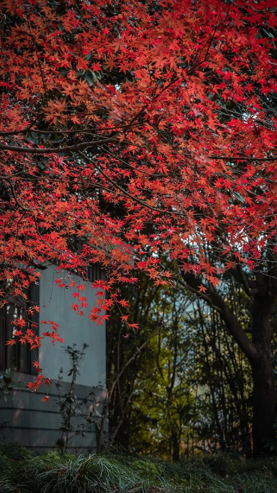 1cacb407d3eddf3304794616d0bb4d7f-sz_419520 1cacb407d3eddf3304794616d0bb4d7f-sz_419520