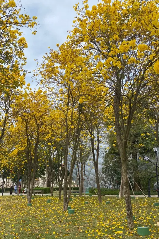 1caed7ed4c015d064ea41954d532cc90-sz_1387656 1caed7ed4c015d064ea41954d532cc90-sz_1387656