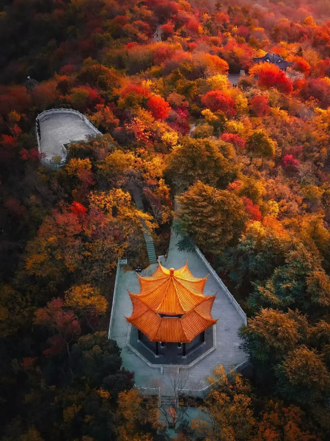 1cb63036a1a00a2bd39dc4f6bdb0c8e8-sz_387723 1cb63036a1a00a2bd39dc4f6bdb0c8e8-sz_387723