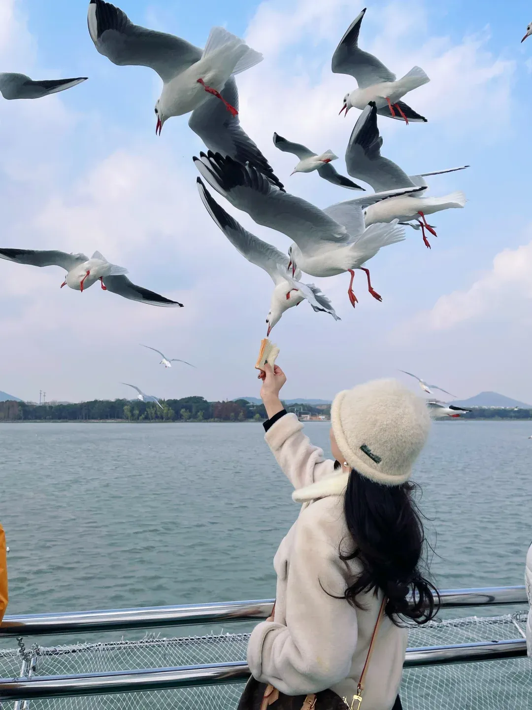 1cbde4f6059074dc1ebd29b4cf14519b-sz_1909192-1