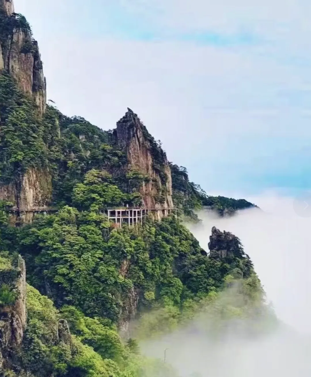 1d0afc9fe4610f2afa8911dc01eaa4a5-sz_1545063