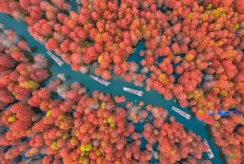 1d0dea79fb469c8eec1ef6b9d3f92cf0-sz_469511 1d0dea79fb469c8eec1ef6b9d3f92cf0-sz_469511