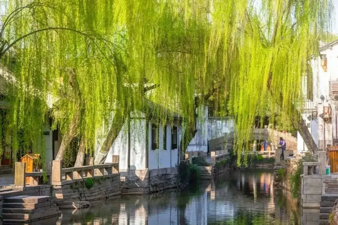 1d159b36d5b74c8f3d3170968f9f7cb0-sz_189177