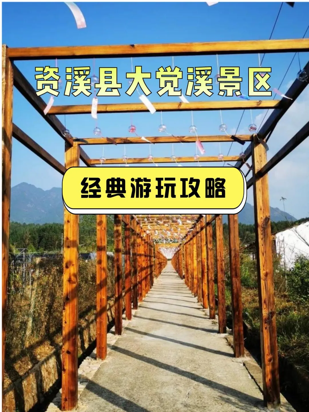 1d41e9b0b70c407af2c109d17512bcb4-sz_2776445 1d41e9b0b70c407af2c109d17512bcb4-sz_2776445