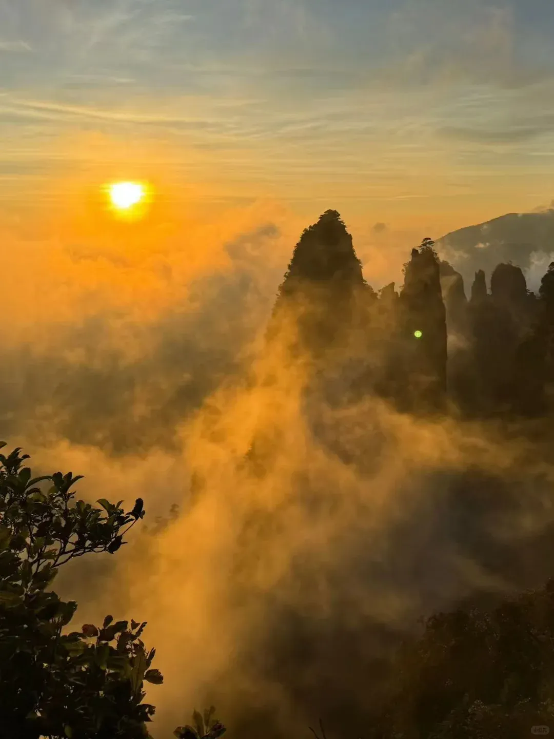 1d4aeb7a88e36e60422a82413f9a19e3-sz_1451556