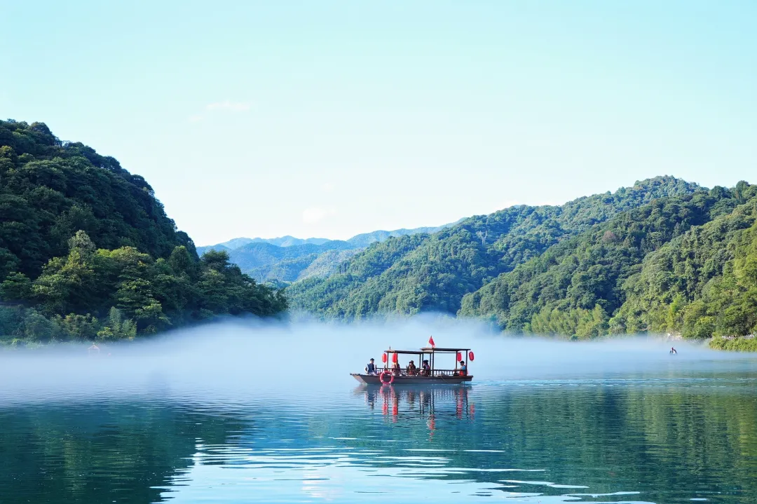 1d50ce67d9e7ec8f0bf23487c6072cd5-sz_3989323