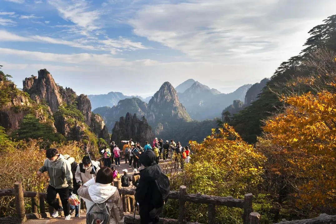 1d957d9deac17d5fb4bbe9fbdf7f2b15-sz_178493