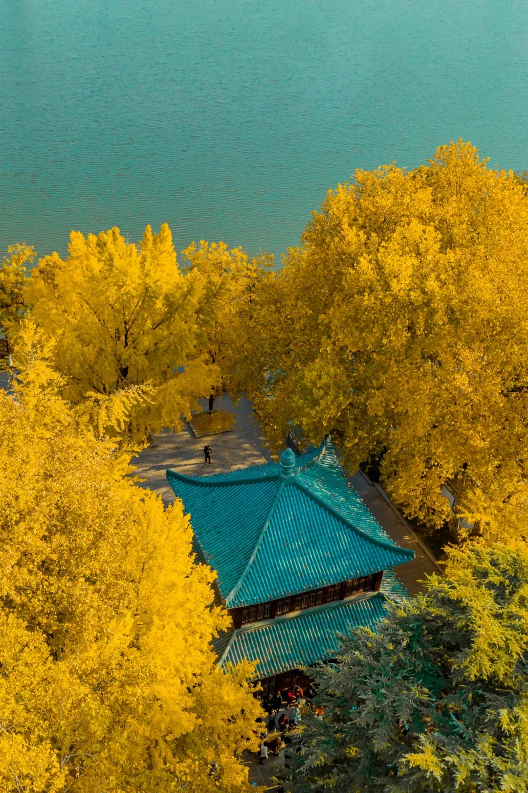 1d97973d694ccc17ddebb896d92c5fbf-sz_3234674 1d97973d694ccc17ddebb896d92c5fbf-sz_3234674