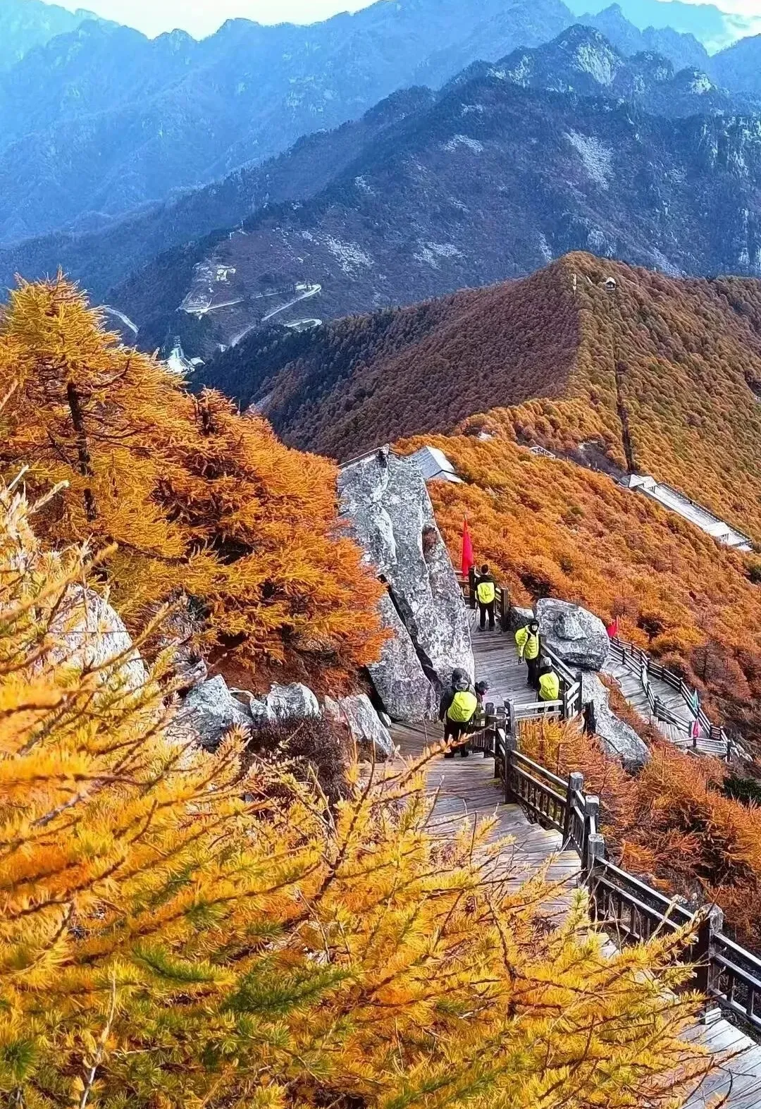 1e24275d2cc649151adce6aef3619cdb-sz_742677