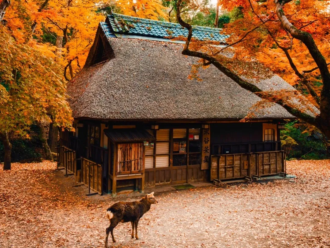 1e46b7d06c3f6e43b91c63ebf1ec8f70-sz_990514 1e46b7d06c3f6e43b91c63ebf1ec8f70-sz_990514