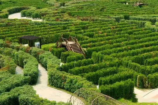 1e9bc0b31322a50c34d4a31e746d9284-sz_251558 1e9bc0b31322a50c34d4a31e746d9284-sz_251558