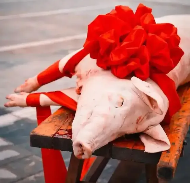 1ec985bda87c3a8a85ba59bb27ce5585-sz_482085 1ec985bda87c3a8a85ba59bb27ce5585-sz_482085