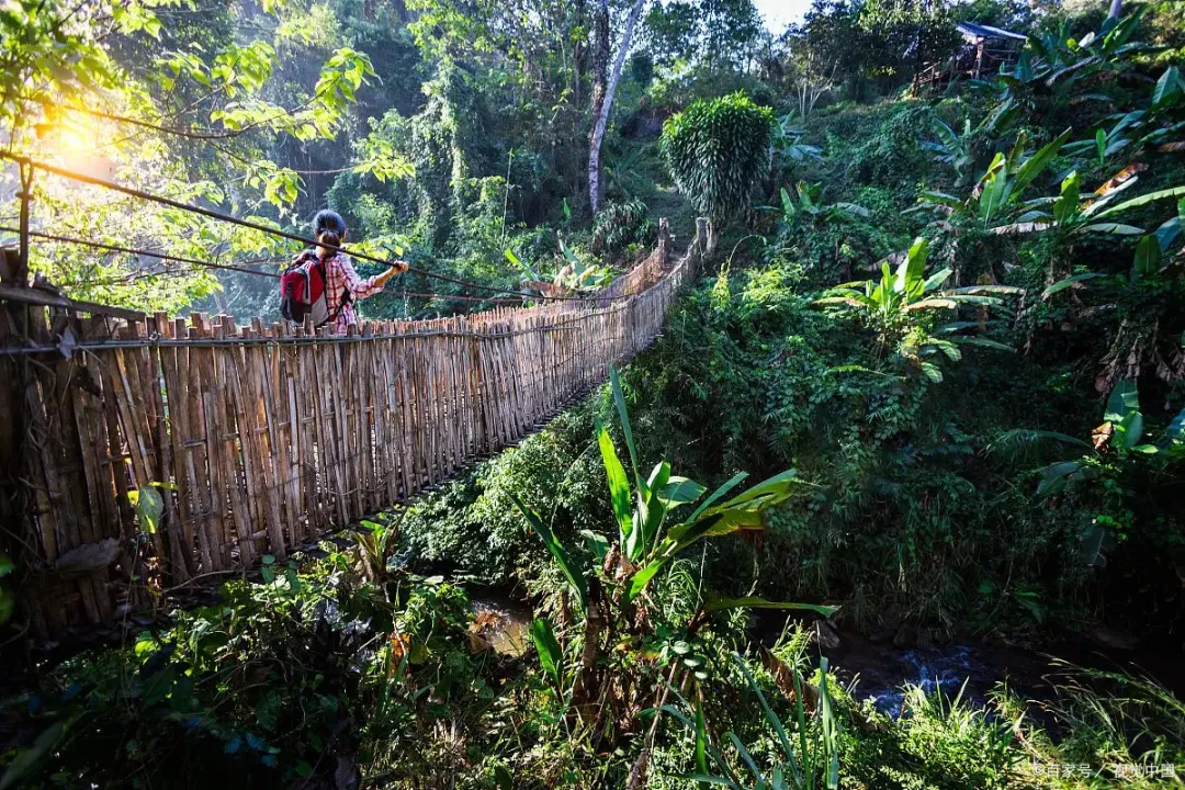 1ececfbb2c4661583b7072b69ec63403-sz_2792755-2