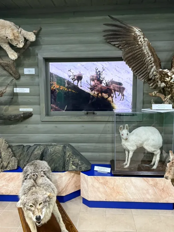 1fb28833354cba7508ebd86d739dcb5e-sz_471289