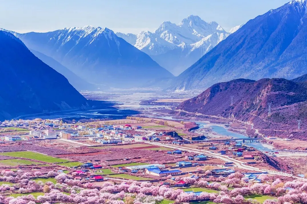 1fe0a21c77c3fe3dc809b73ee713a1e5-sz_932808 1fe0a21c77c3fe3dc809b73ee713a1e5-sz_932808