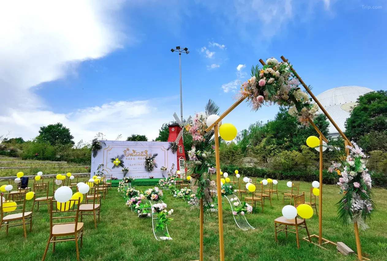 1mc2r12000o0zdkye59F0_W_1280_853_R5 1mc2r12000o0zdkye59F0_W_1280_853_R5