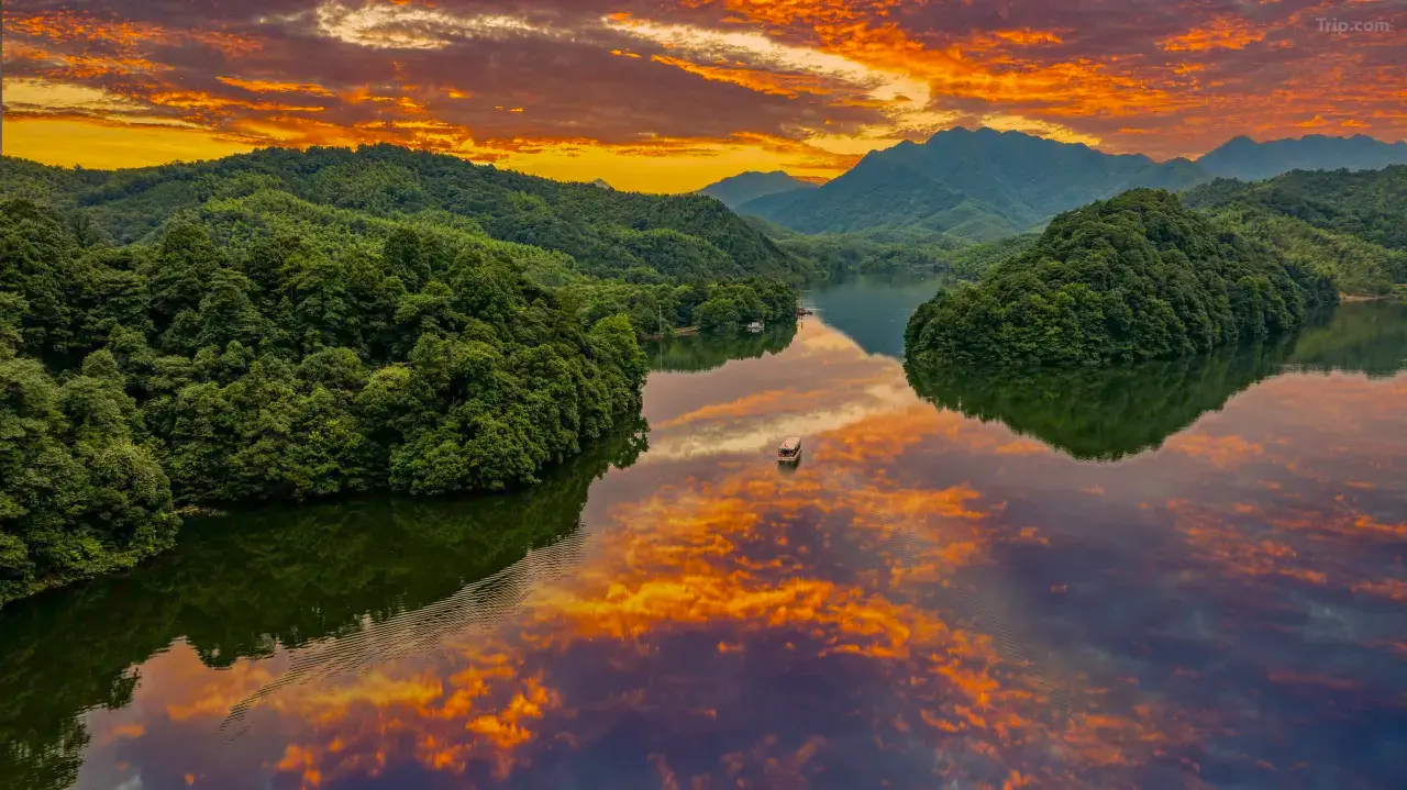 1mc4l12000i134odo5CEC_W_1280_853_R5-1