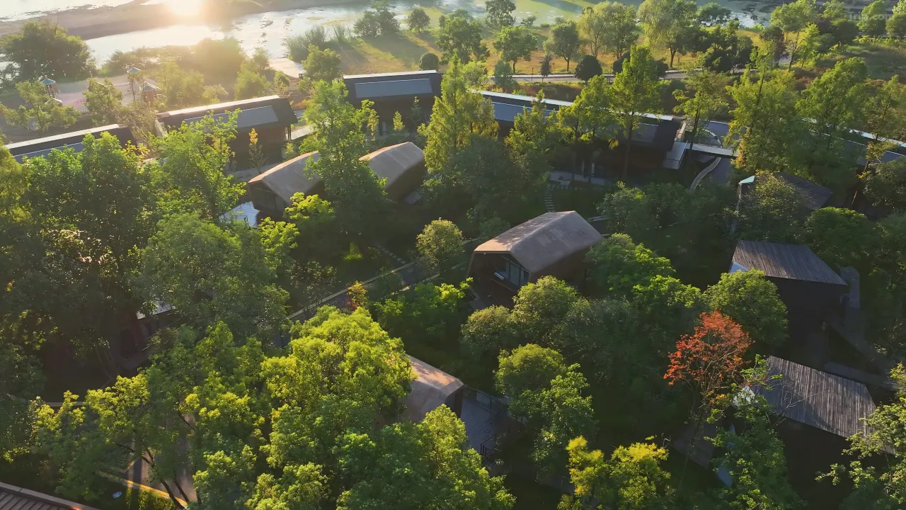 1mc6d12000nlua3sk1012_W_1280_853_R5 1mc6d12000nlua3sk1012_W_1280_853_R5