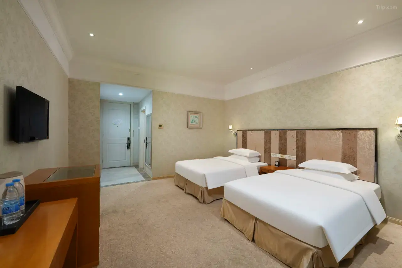 1mc6m12000oftbsxv8869_W_1280_853_R5