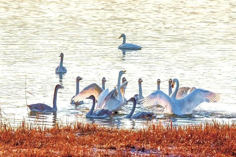 20071f000001gk19e962A_W_1280_853_R5 20071f000001gk19e962A_W_1280_853_R5