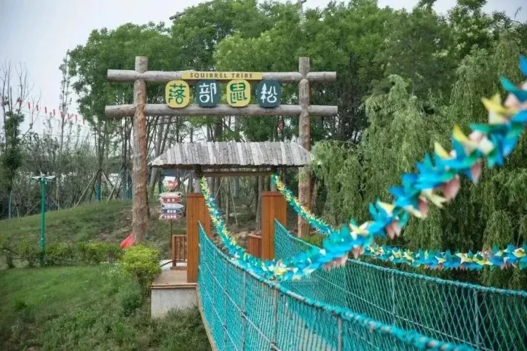 2024af181245082def88c004ed644426-sz_225312