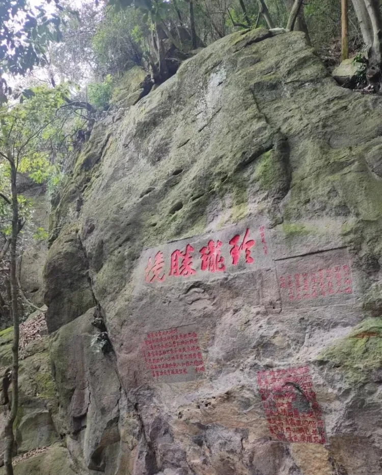 202fe9c2ff917e3be8ac3a034af24031-sz_496571