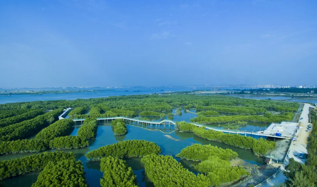 20447594b7067689f1283a87e1135a58-sz_168845 20447594b7067689f1283a87e1135a58-sz_168845