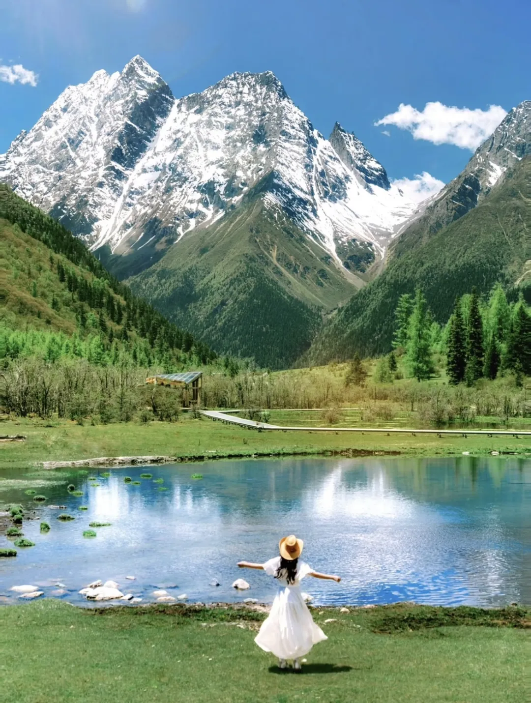 20b4f058725603d104045d3558b4c877-sz_4082269