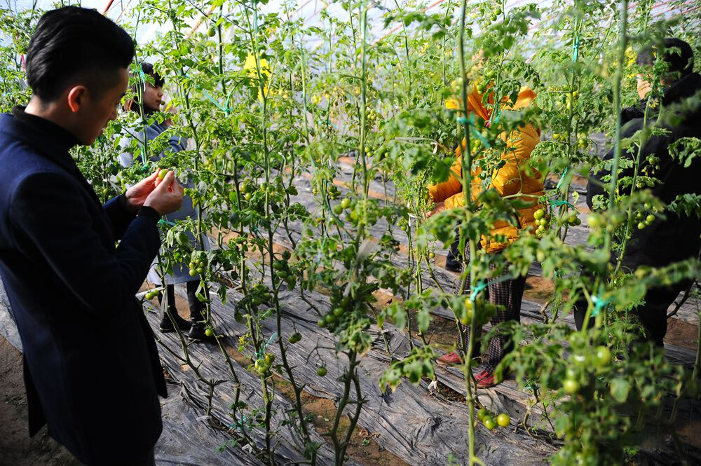 20c29295a9f4cba34f16807b28229b4a-sz_544108 20c29295a9f4cba34f16807b28229b4a-sz_544108