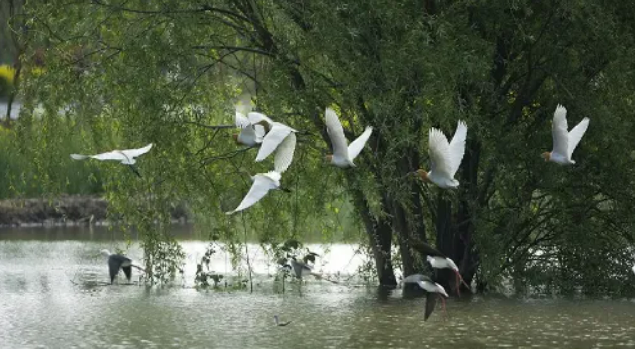 20c830fe174dd8ac2993039a17cb8320 20c830fe174dd8ac2993039a17cb8320