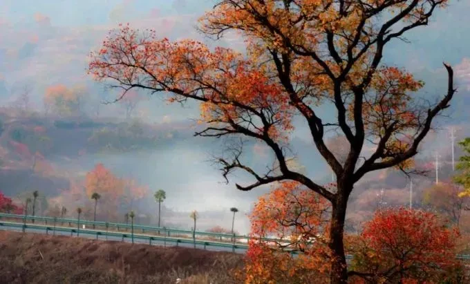 20cadd9f0dec18f9c9adb1a1a5d30a9f-sz_58908 20cadd9f0dec18f9c9adb1a1a5d30a9f-sz_58908