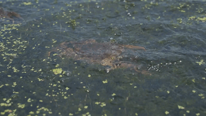 20cb77b6346dcf562340b528fc5f5068-sz_4336644 20cb77b6346dcf562340b528fc5f5068-sz_4336644