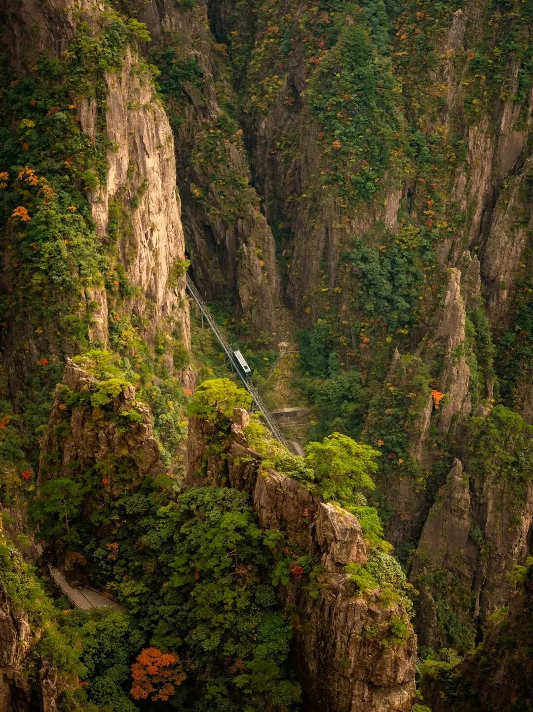 214bc3aa6430a65e0f1578f18395b014-sz_424157