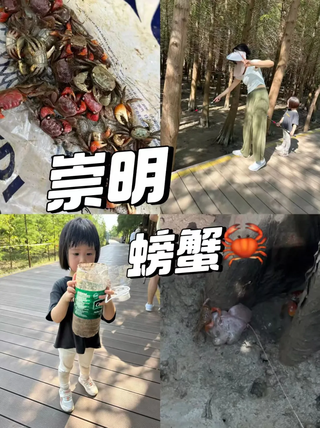 214ff20cbeefb23a62106662ad14ecc7-sz_383735 214ff20cbeefb23a62106662ad14ecc7-sz_383735