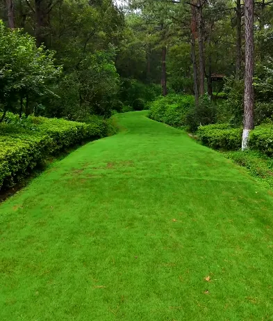 2151475745d94e5e9841ee90df82fe6a-sz_557746