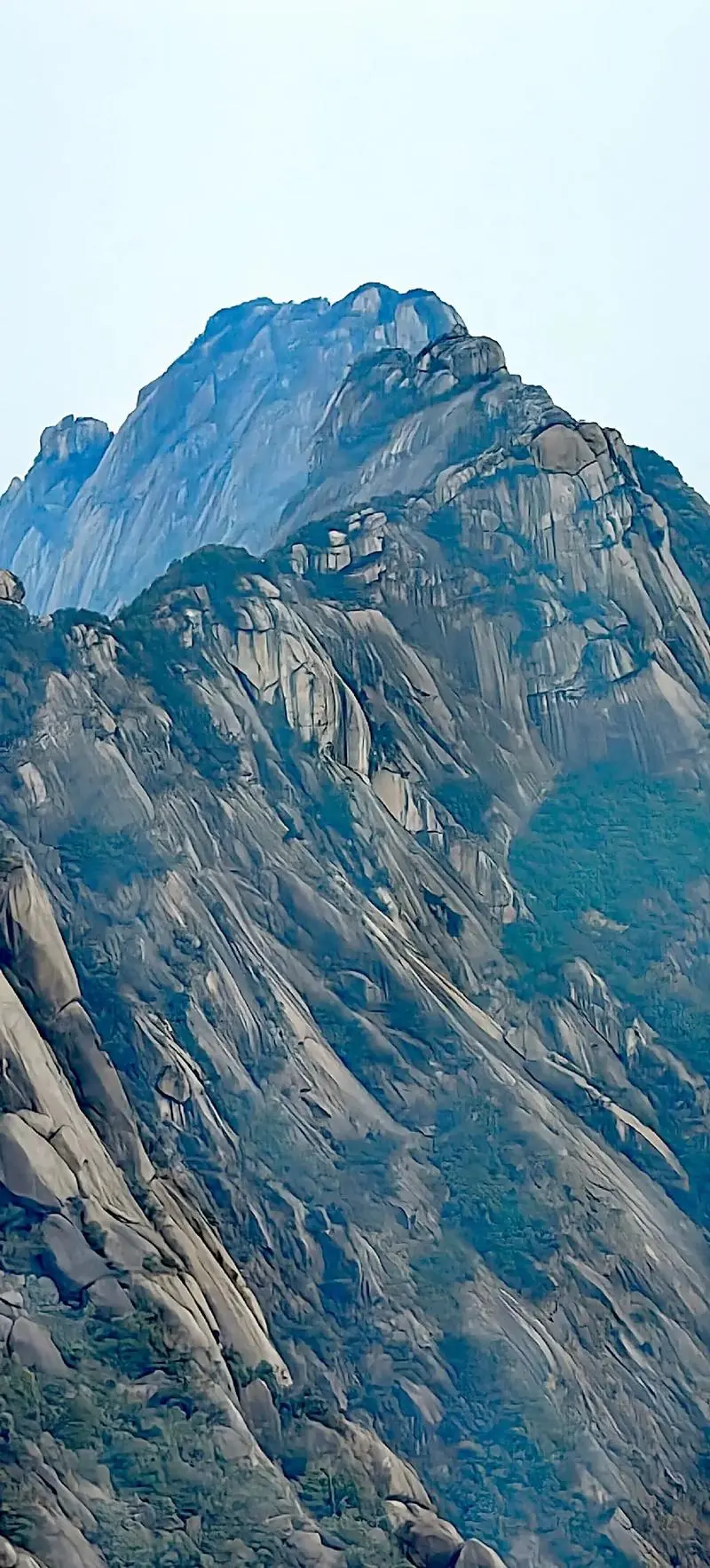 21dd76d20ef6da68ff1a8602e7bda727-sz_234831-1