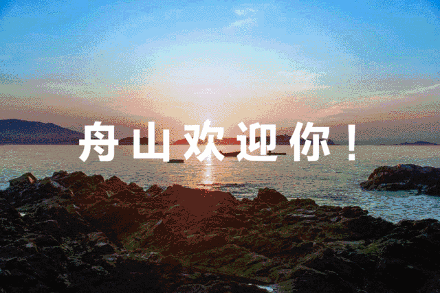 222138ba778deaeed61bf1cc7e4ddd8d-sz_369569