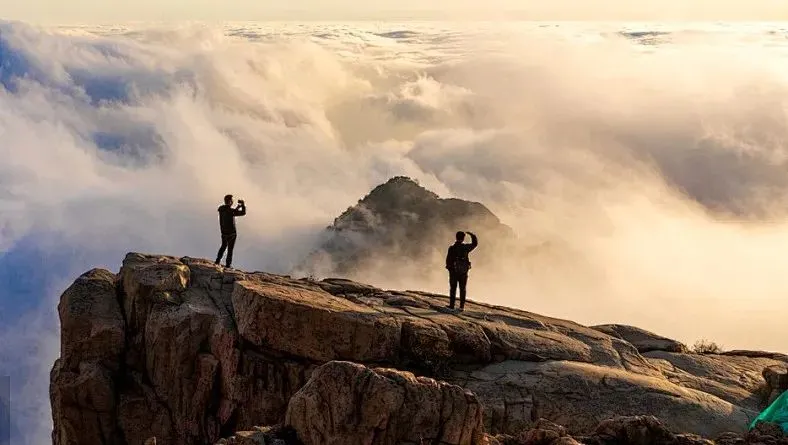 22423e7d83172e01ff7faa1b92316b76-sz_56090