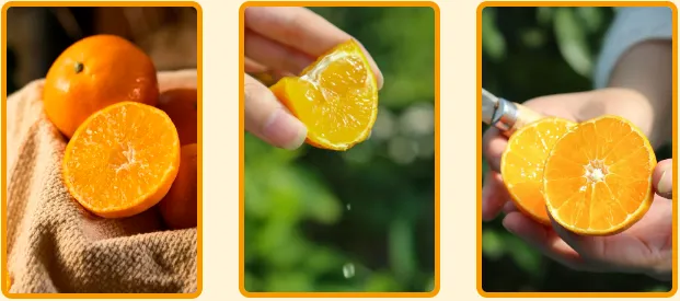 2266c12af548df8d94c822e074f3e1b2-sz_369146-3 2266c12af548df8d94c822e074f3e1b2-sz_369146-3