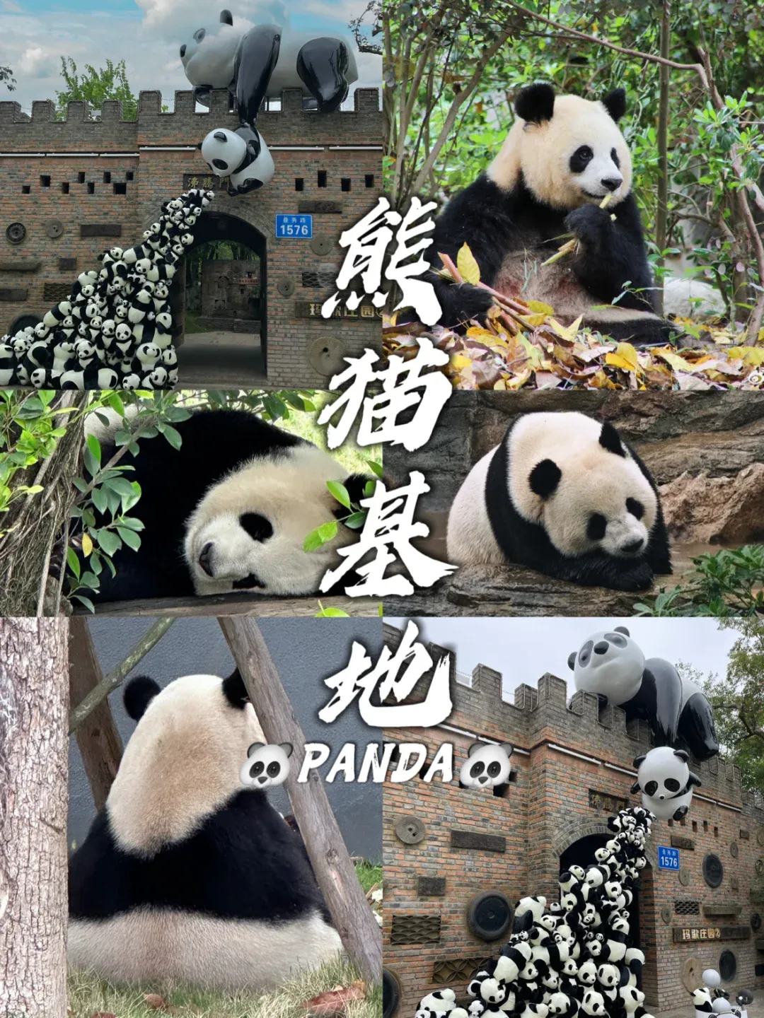 2274b13a6a1be42dd762658c2e6e7882-sz_3649963