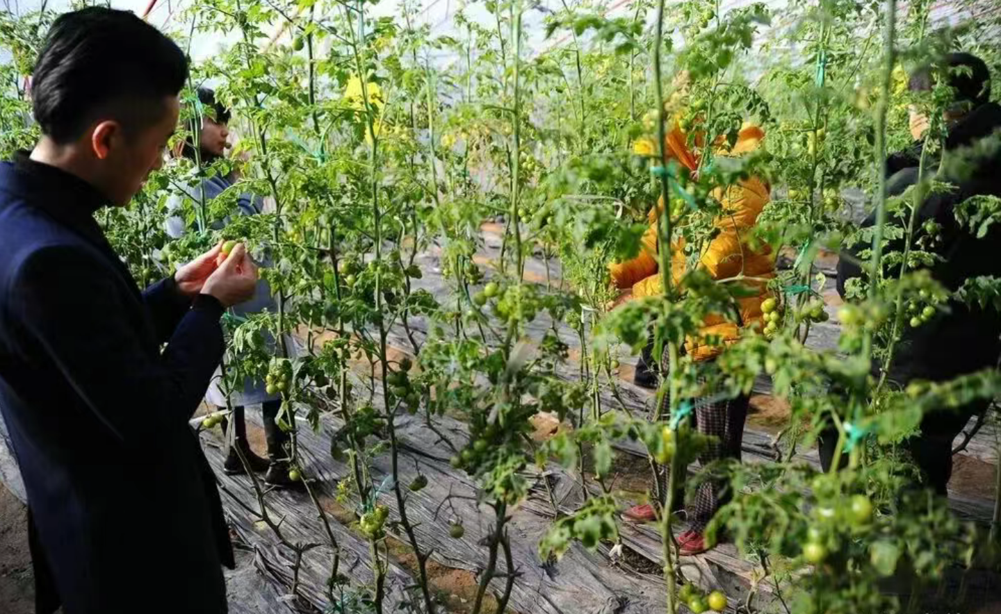 22d811ac981fa08ab8b4ab39b04f8074