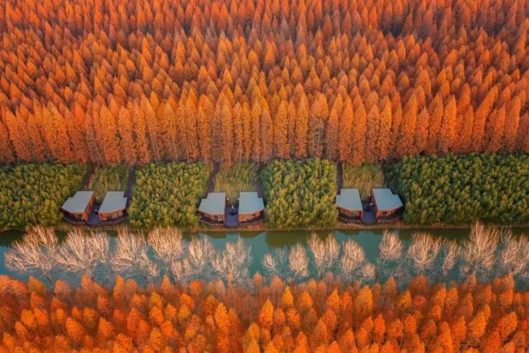 22fc7fdb324ba6b1a6821fad904687b2-sz_313900