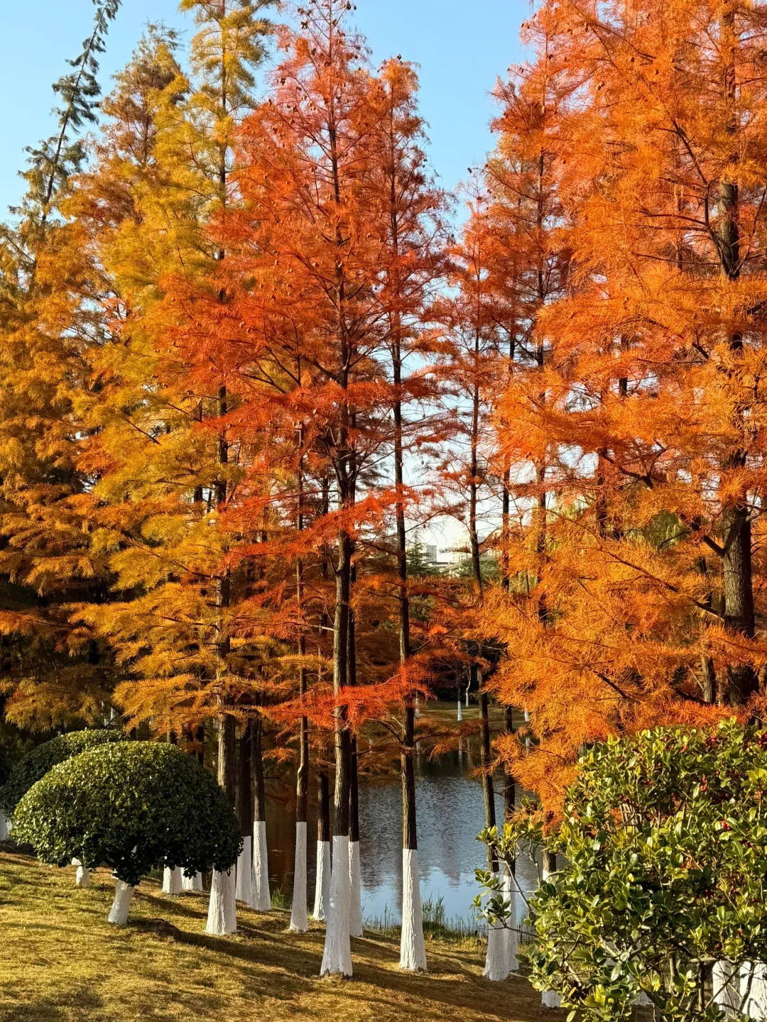 22fe1e08bde436327adab364251fb9ca-sz_4348015