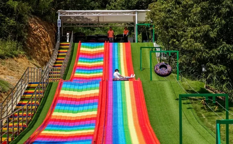 232b90619cb5e1876f1226f68b24f91a-sz_484120