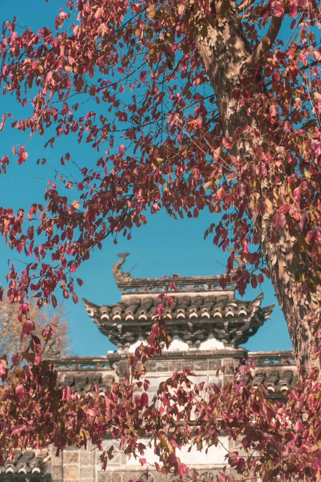 2334fcf8c594a23cf596e421771cfe1d-sz_392140 2334fcf8c594a23cf596e421771cfe1d-sz_392140