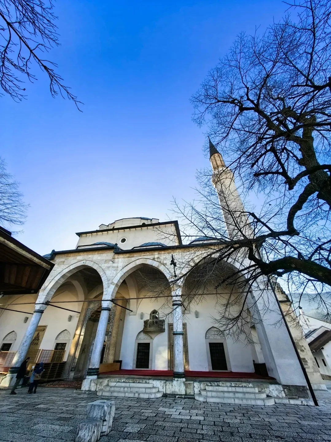 23382ac2184931ccae13270d1c4916ae-sz_556845