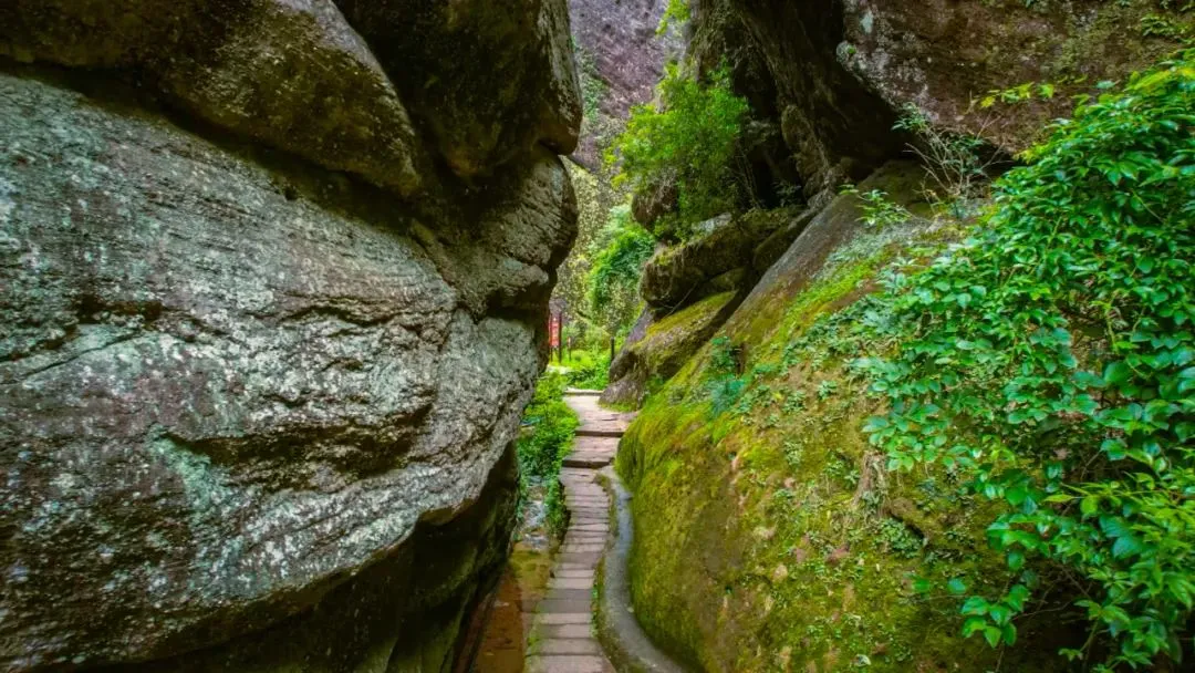 23b8c2dc31930189ce37e58a934a9b4f-sz_172035