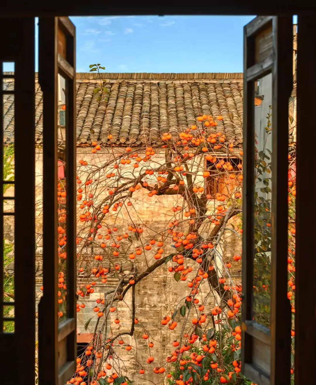 23fce294da9e50ef42d6914fcfa0332d-sz_400020