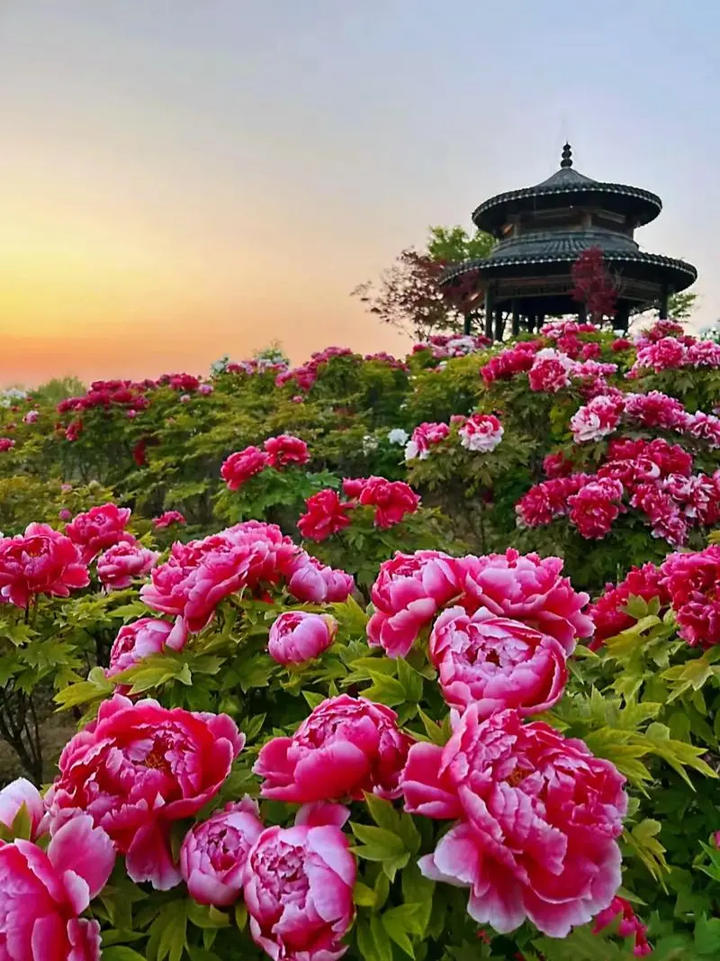 23feb92f3c24545bb80a3f7c49cec9f8-sz_144857 23feb92f3c24545bb80a3f7c49cec9f8-sz_144857